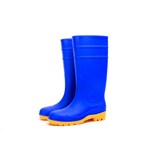 Blue Rain Boots